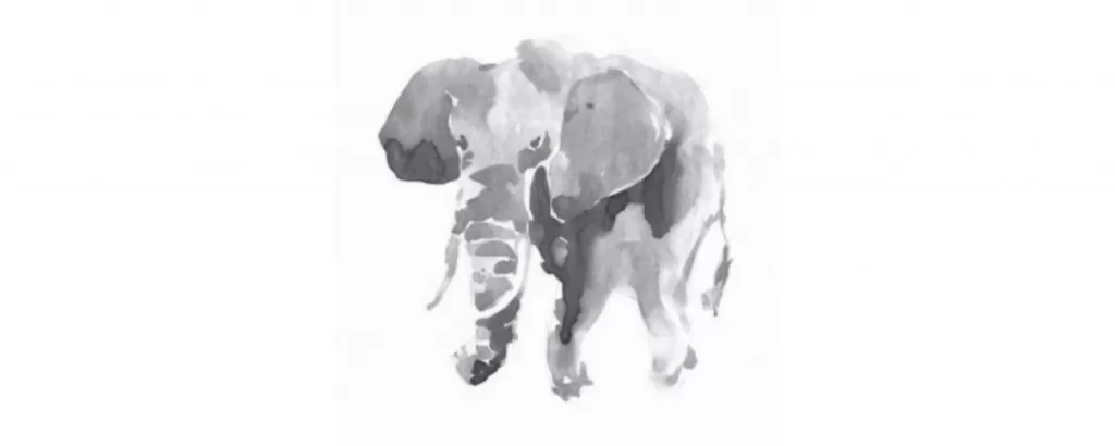 Elephant illustration